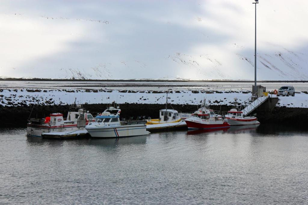 Comfy Guesthouse Westfjords Sudureyri ภายนอก รูปภาพ